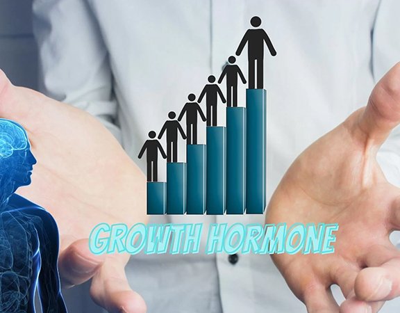 Women Make More Growth Hormone Than Men